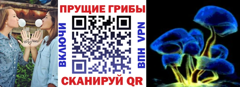 Псилоцибиновые грибы ЛСД  Сегежа 