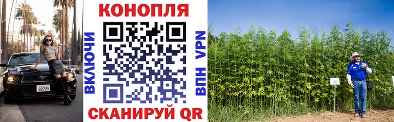 купить  цена  МЕГА ONION  Марихуана семена  Сегежа 
